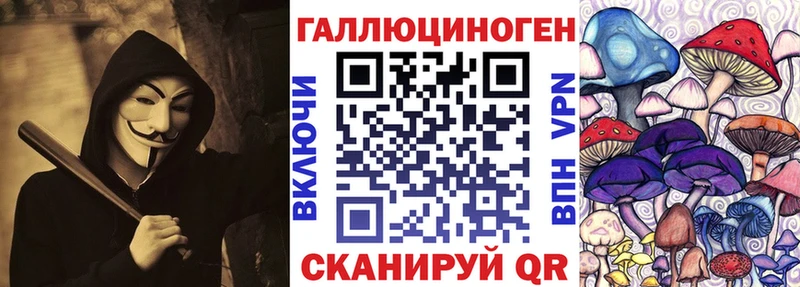 Купить  Онега  Галлюциногенные грибы Cubensis 